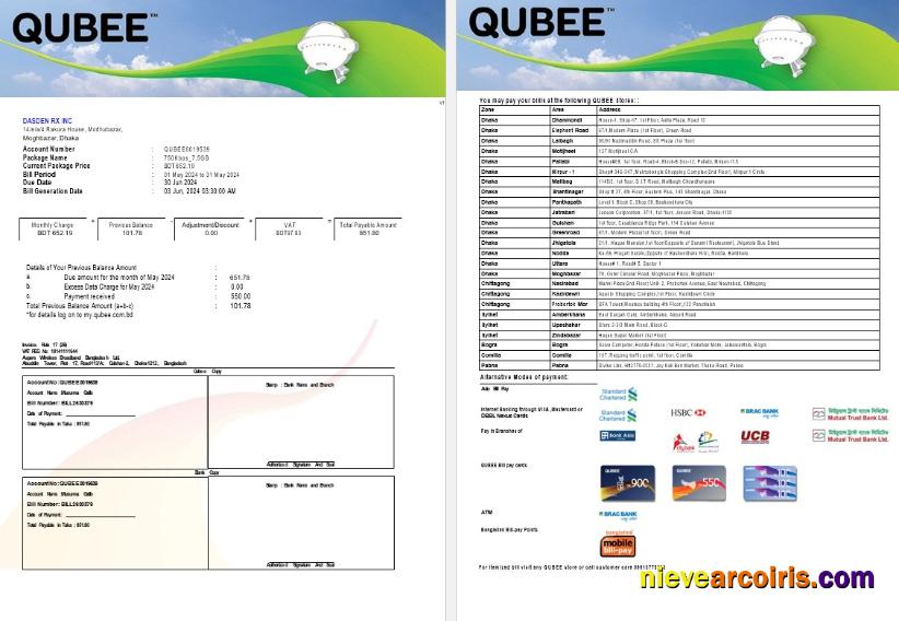 PAKISTAN QUBEE business utility bill